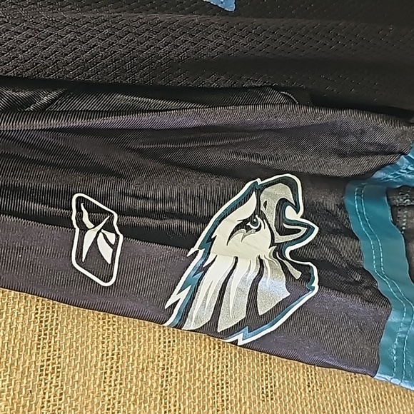 NFL Equipment On field Reebok Jersey (XL/EG/TG) Jackson (10) in good worn condit - Picture 2 of 9